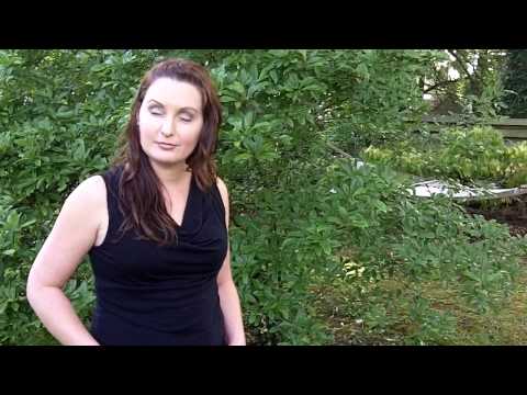 how to care for an evergreen tree