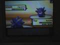 Sephiroth32194 VS. NecrossLich - WiFi Battle #13