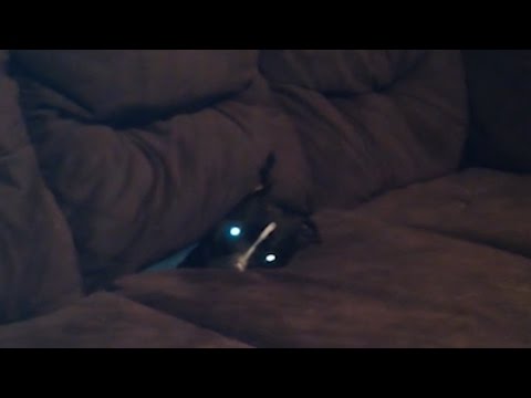 Play YouTube video