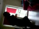 Thomas\