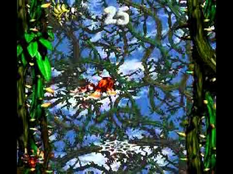 Donkey Kong Country 2 : Diddy's Kong Quest
