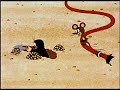 kisvakond a kertész / mole the gardener  1969 