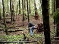 Running target