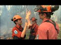 BC Forest Services BC Forest Services