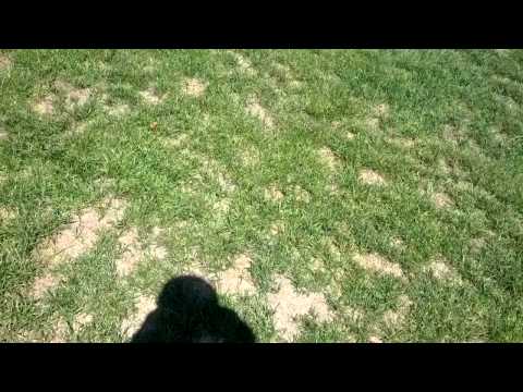 LawnCareMidwest -