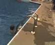 Rebecca-Swimming-Pho