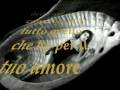 Darei tutto quello che ho