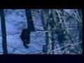 Majida El-Roumi - El Hob wal Waffa