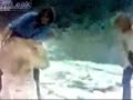 Lion Reunites with Humans