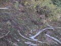 New Mexico Hunting Adventures