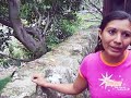 el-huracn-mitch-una-nueva-conciencia.html