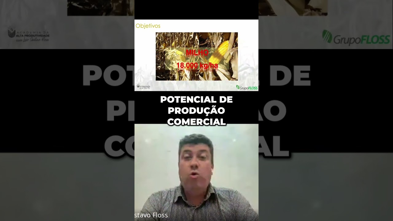 Milho: Potencial de Produção e Desafios Climáticos #agro #agriculturaregenerativa