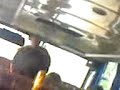 bus / Peraboa