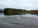 Mr. Wookins 7 Second Dock Jump Video
