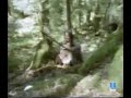 MOA