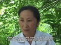hunted like animals hmong women raped by lao soldiers