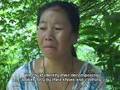 HUNTED LIKE ANIMALS Hmong women raped by Lao soldiers