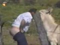 -hilarious-fail-owned-video-2-.html