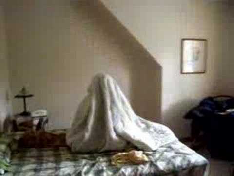 hide and seek doug and enis style ...