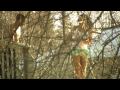 vimeo_thumb