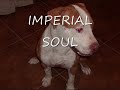 imperial soul