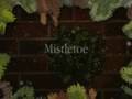 A Wallflower Christmas Lisa Kleypas Book Trailer