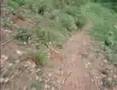 Cross Country - Fazenda Alvorada