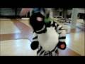 videos de saara.wmv