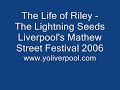 europe's largest free city centre music festival.