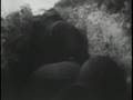 BIKINI ATOLL 1946