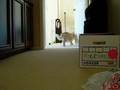 videos de waddle cat!