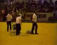 Canine Freestyle group routine Ghostbusters