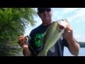 Swim Jig Tips For Big Bass