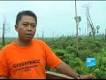 Palm oil, an ecological disaster-Report-En-France24 Palm oil, an ecological disaster-Report-En-France24