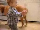 Ollie and the animals