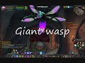 WOW underbelly elixir forms WOW underbelly elixir forms