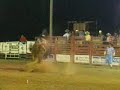 Kayenta Rodeo, July 2008 - Bull Riding