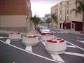 ASI ES LA VERDELLADA ASI ES LA VERDELLADA