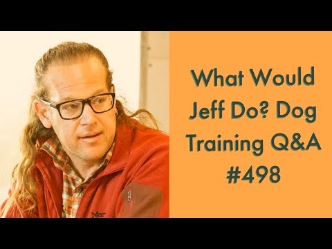 Stop a dog from redirecting | Eliminate Dogs barking | What Would Jeff Do? Dog Training Q & A #498
