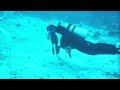 マーシャル海の中 1 (ダイビング旅行)