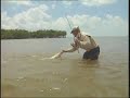 Crazy Shark Encounter