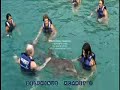 Nadando com golfinhos - Xcaret, Canc�n, M�xico