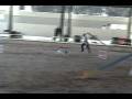 videos de Bounce NADAC Novice Standard.wmv