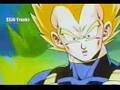 Tribiute to Vegjita..