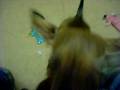 My toys are freakin\