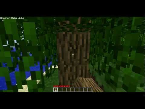 how to play minecraft bg