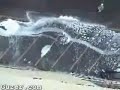 300 Pound Water Balloons