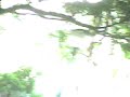 passeio do senai parte 1 