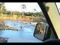 Oil and Bridges Part 1-Toledo District, Belize 2008
