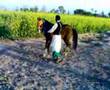 View Video
